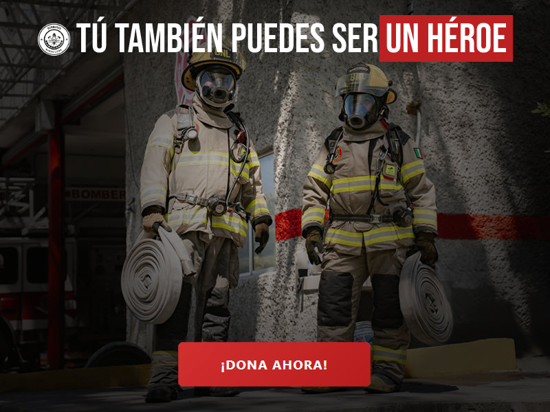 Informe anual